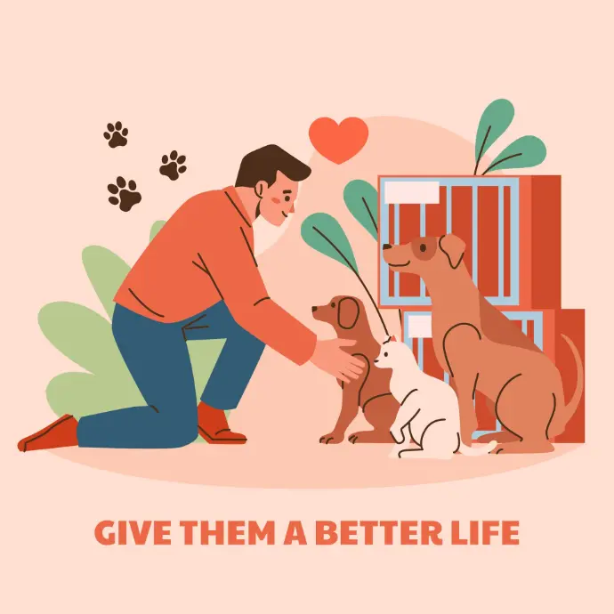 Pet Adoption